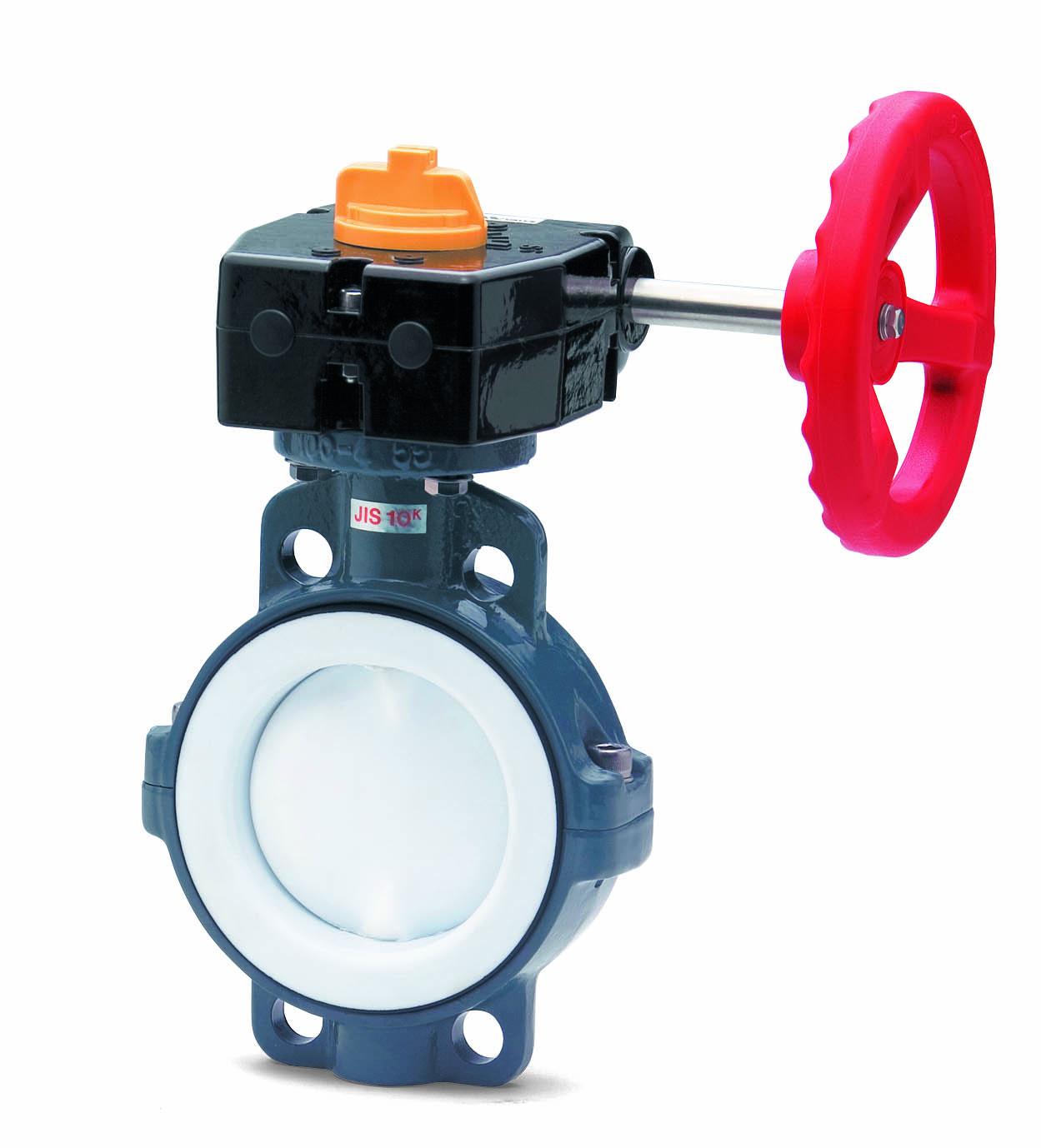 Butterfly Valve Type 55 [2-10inch] (50-250mm)